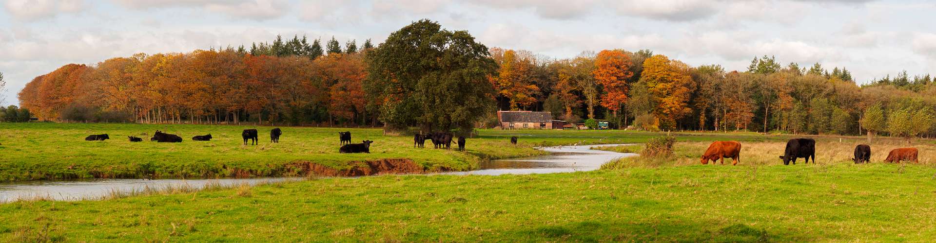 Klik om de knoppen te tonen of te verbergen