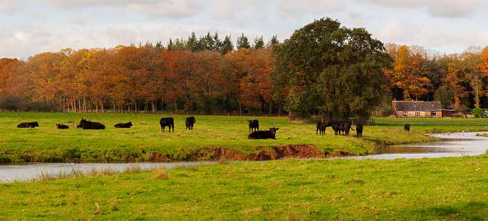 Dalfsen, Havezaten, NS-wandeling, Stadswandeling, Zwolle