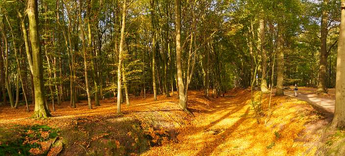 Dalfsen, Havezaten, NS-wandeling, Stadswandeling, Zwolle