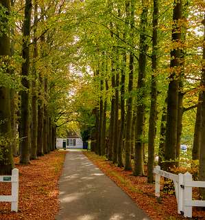 Dalfsen, Havezaten, NS-wandeling, Stadswandeling, Zwolle<br>De Horte