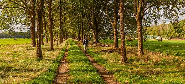 Dalfsen, Havezaten, NS-wandeling, Stadswandeling, Zwolle