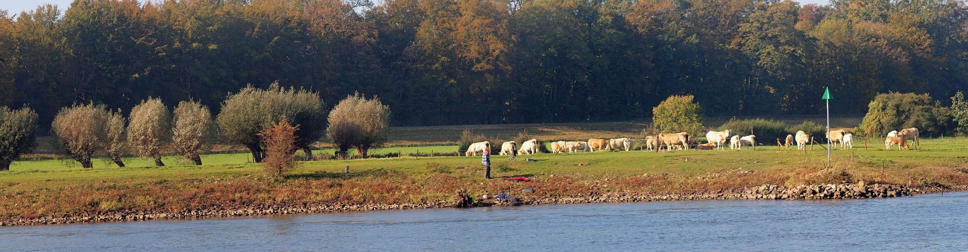 Klik om de knoppen te tonen of te verbergen