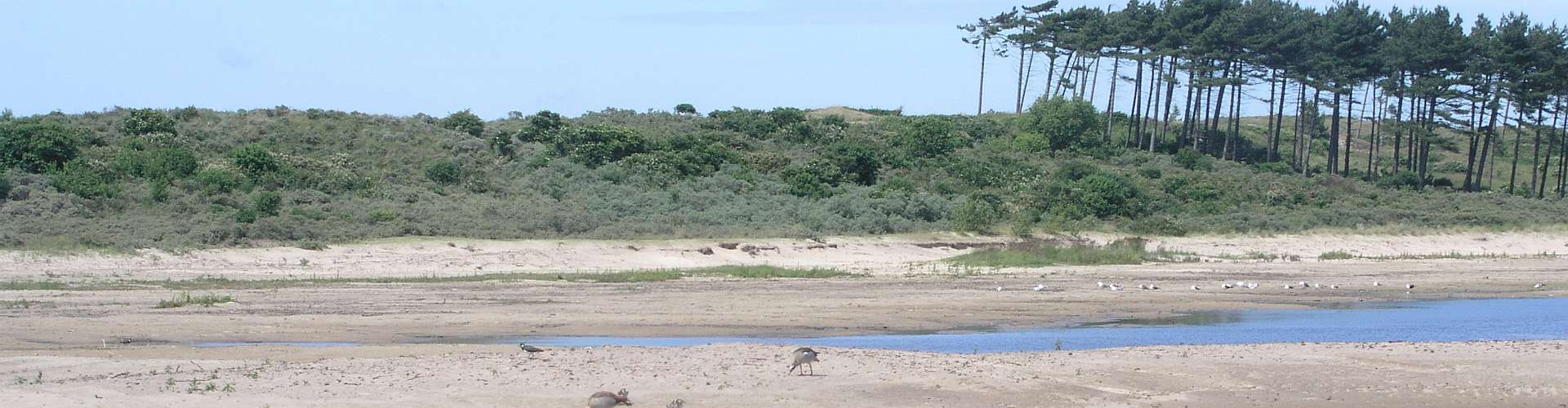 Klik om de knoppen te tonen of te verbergen