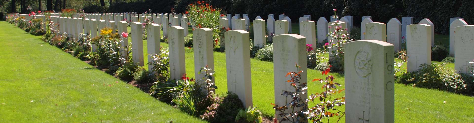 Klik om de knoppen te tonen of te verbergen