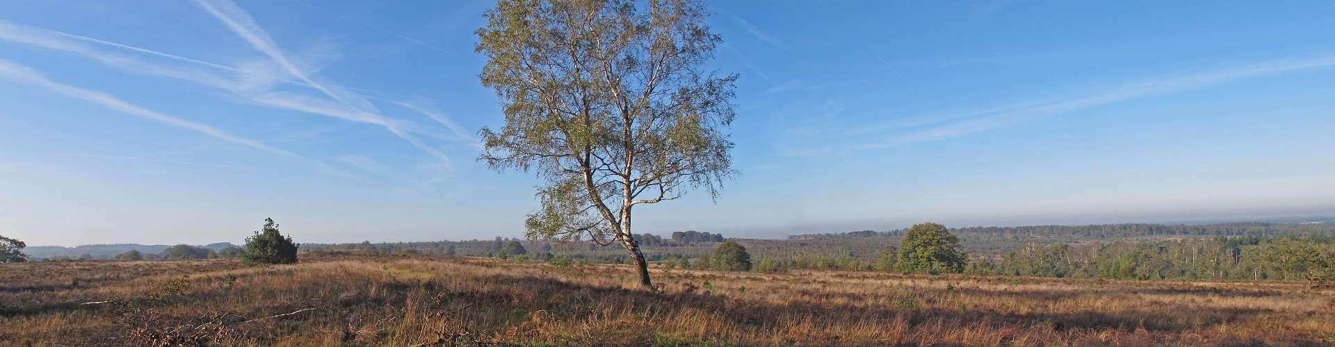 Klik om de knoppen te tonen of te verbergen
