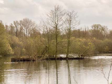 Whije, Zwolle<br>Tichelkuilen bij Windesheim