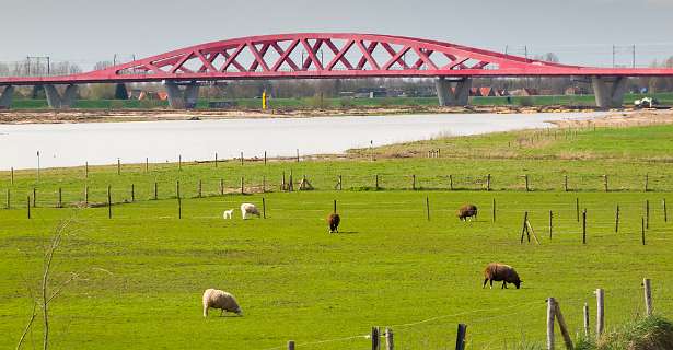 Whije, Zwolle<br>De nieuwe spoorbrug voor de Hanzelijn