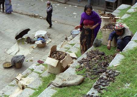 Durbar Square in Kathmandu