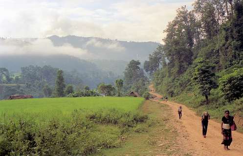 Langs de rijstvelden naar het volgende kamp