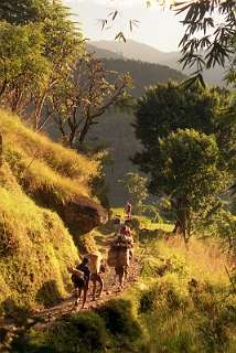 van bess-Shahar naar Bhule-Bhule