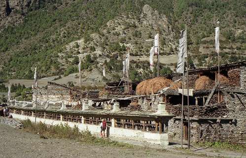 Pisang laag op een hoogte van 3185 m