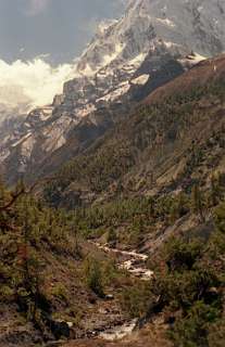 Zijdal mat de Annapurna III