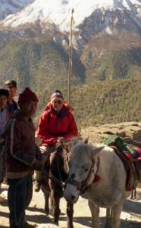 Van Manang opweg naarThorung-Pedi deden wij op een paard vanwege griep