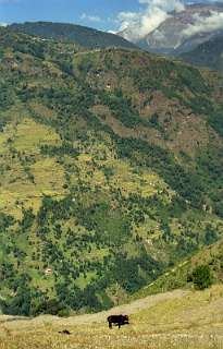 Terugblik Ghandruk vanaf Landruk