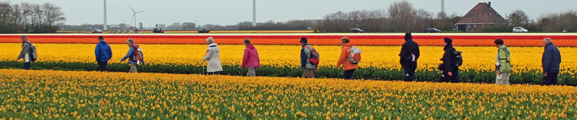 Click to show or hide the buttons