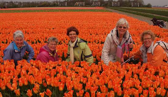 Hennie, Therry, Hetty, Gusta