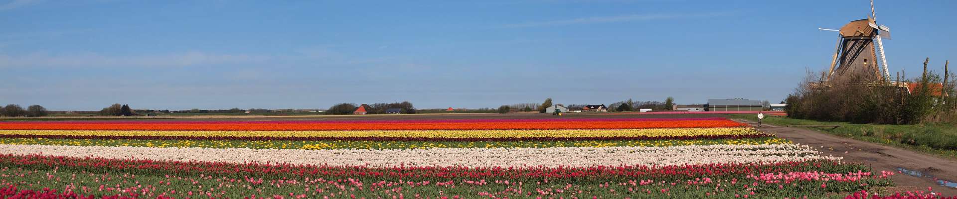 Click to show or hide the buttons