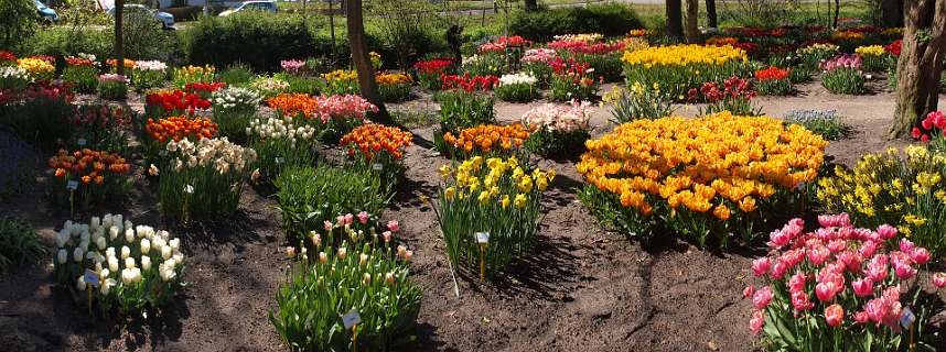 De Poldertuin in Anna Paulowna