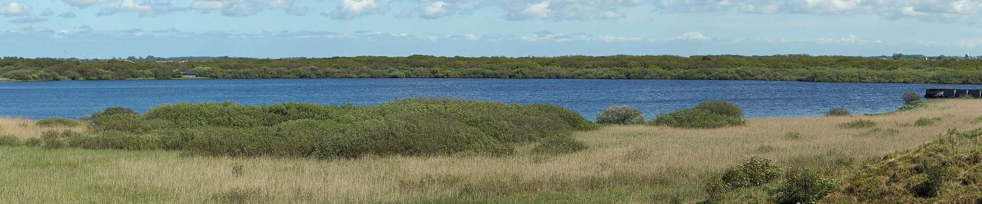 Click to show or hide the buttons