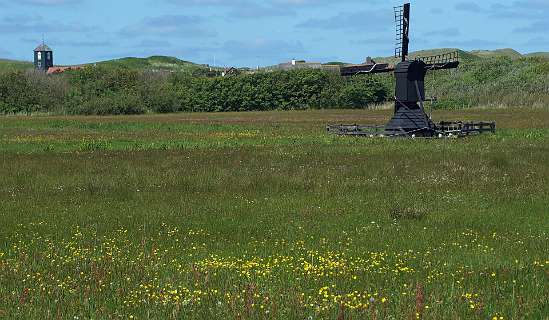 Links de kerktoren van Callantsoog