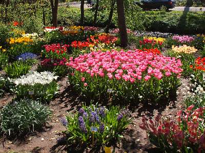 Anna Paulowna en Breezand