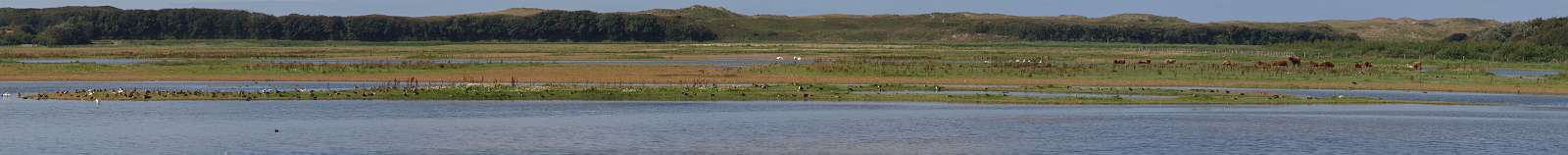 Het vogelreservaat Mariëndal ten zuiden van Den Helder