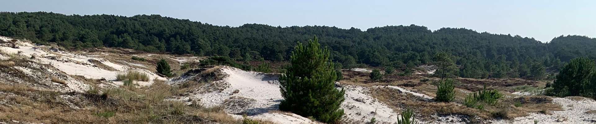 Click to show or hide the buttons