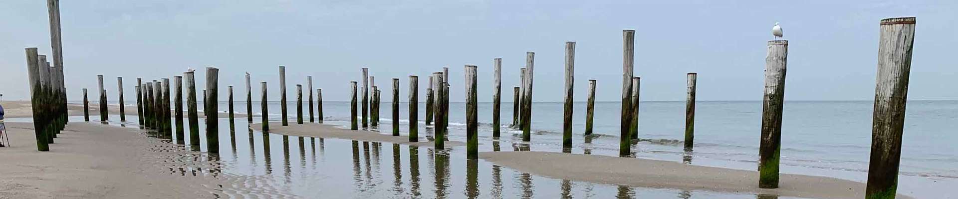 Click to show or hide the buttons