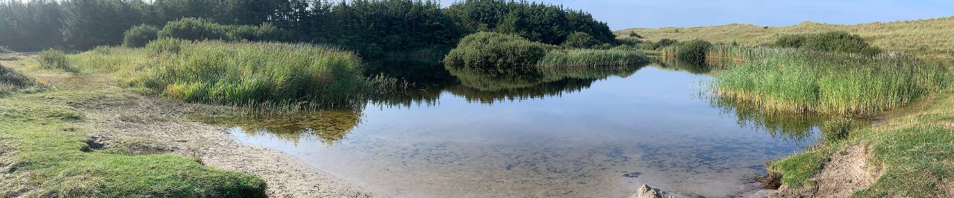 Click to show or hide the buttons