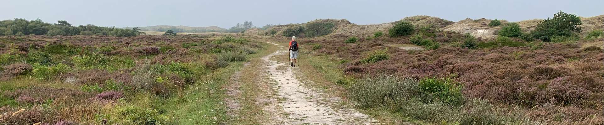 Click to show or hide the buttons