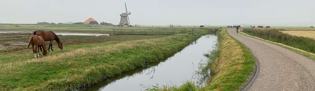 we fietsten dit keer niet over de Hondsbossche zeewering, maar gingen de polder achter de dijk in.