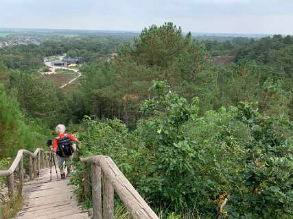 We dalen hier af van de hoogste duin van Nederland, in de verte het startpunt van de wandeling het  Buitencentrum van Staatsbosbeheer.