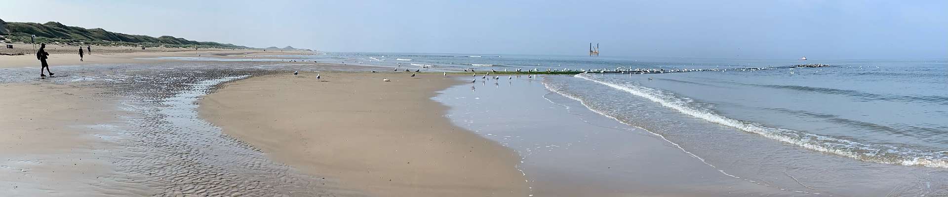 Click to show or hide the buttons