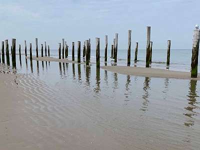 Hondsbossche Zeewering