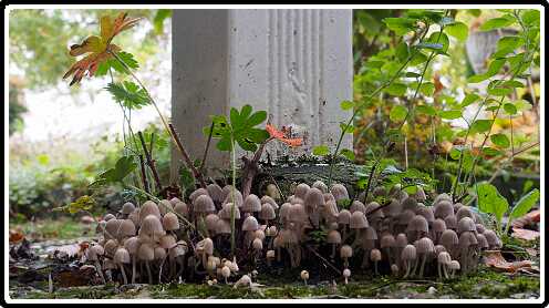 271: 171019-124053_naamloos<br>19-10-2017