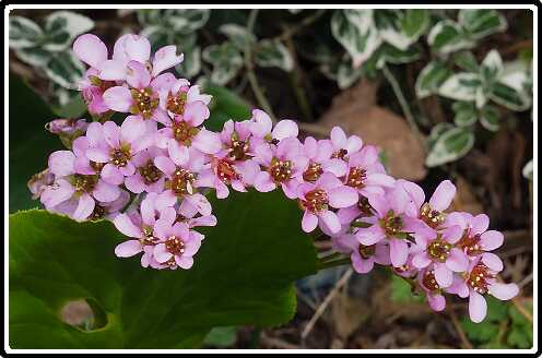 356: 190406-112435_OnzeTuin<br>06-04-2019