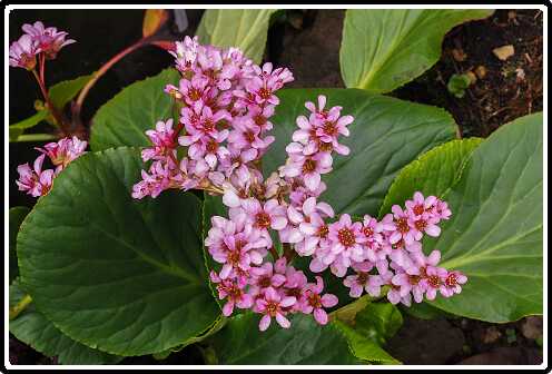 357: 190406-113356_OnzeTuin<br>06-04-2019