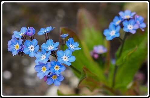 418: 190406-152500_OnzeTuin<br>06-04-2019