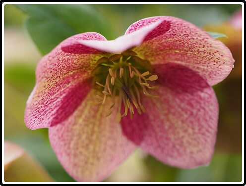 146: 190406-152547_OnzeTuin<br>06-04-2019