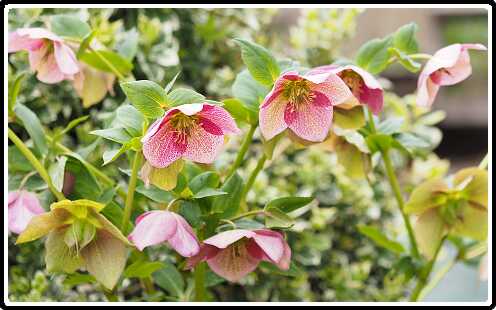 148: 190406-152655_OnzeTuin<br>06-04-2019