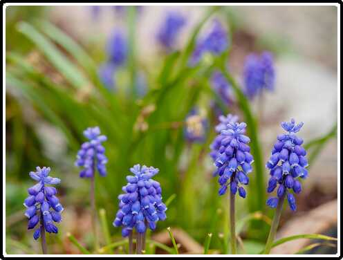 53: 190406-153028_OnzeTuin<br>06-04-2019