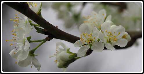 318: 190406-153551_OnzeTuin<br>06-04-2019