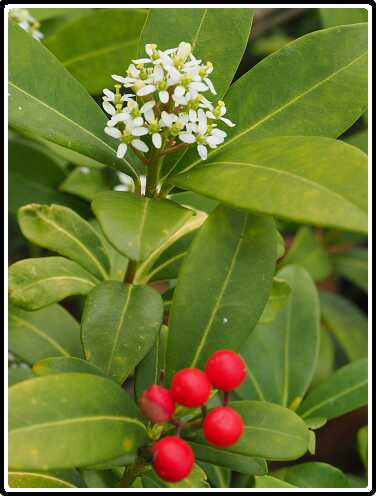 367: 190406-153806_OnzeTuin<br>06-04-2019