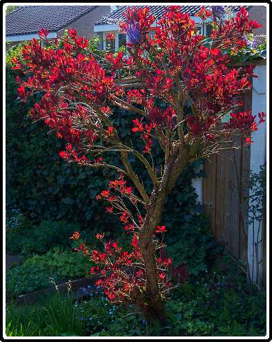 315: 190430-161919_Hilligenpad<br>30-04-2019