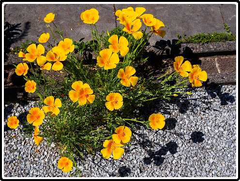 370: 200509-142955_Slaapmutsjes<br>09-05-2020