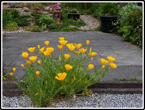 371: 200510-100601_Slaapmutsjes<br>10-05-2020