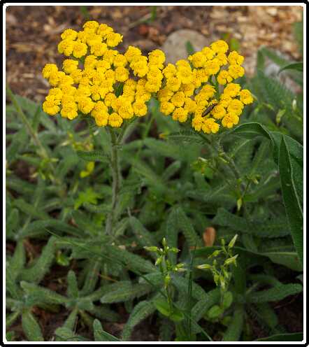 90: 200510-110950_Tuin<br>10-05-2020