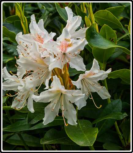 327: 200510-111553_Tuin<br>10-05-2020