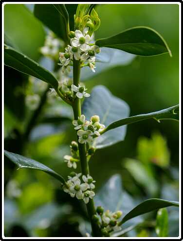 181: 200510-115908_Tuin<br>10-05-2020