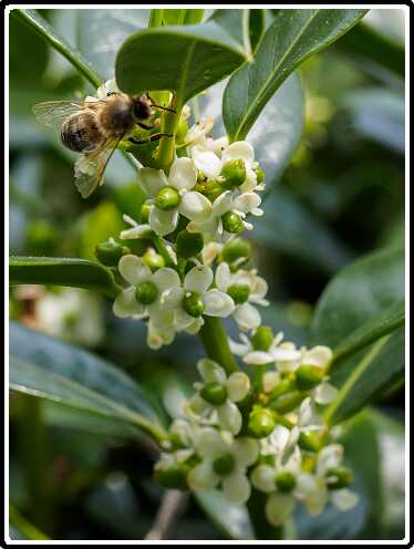 182: 200510-121206_Tuin<br>10-05-2020